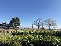 Hauptbild Traumhafte Auszeit an der Ostsee ? 1,5-Zimmer-Appartement mit Terrasse & Meerblick